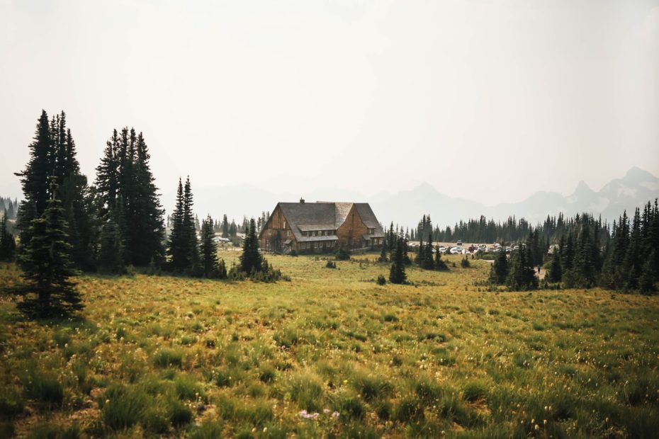 lonely house on grassy meadow